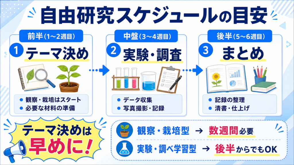自由研究はいつから始める?スケジュールの目安のイメージイラスト