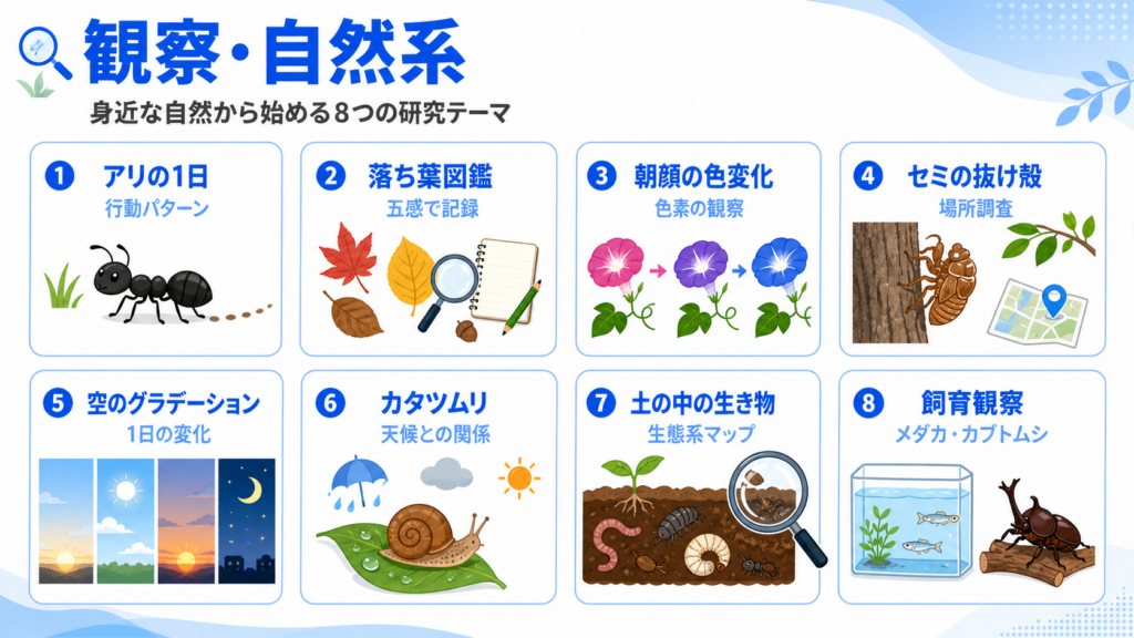 【カテゴリ別】世の中の面白い自由研究アイデア集のイメージイラスト